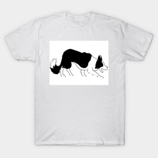 Border collie T-Shirt